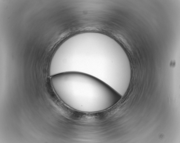 X0000094350260200711021320
