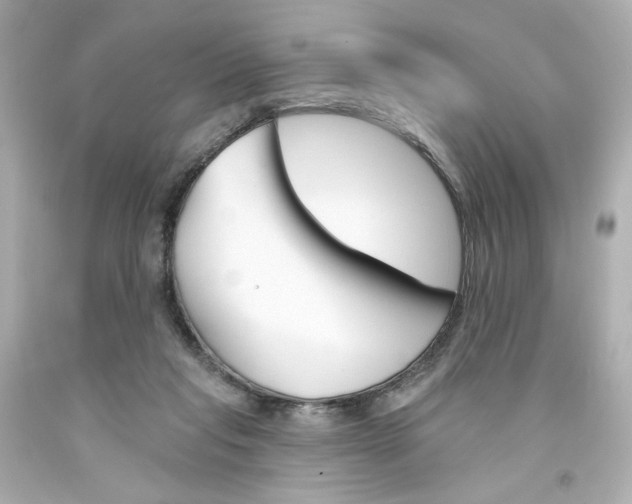 X0000094350261200711021320