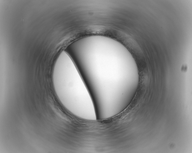 X0000094350262200711021320