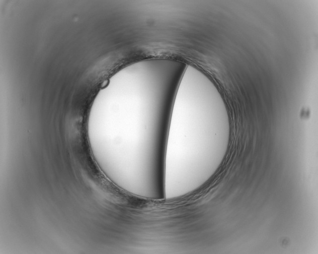 X0000094350263200711021320