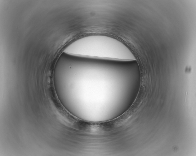 X0000094350264200711021320