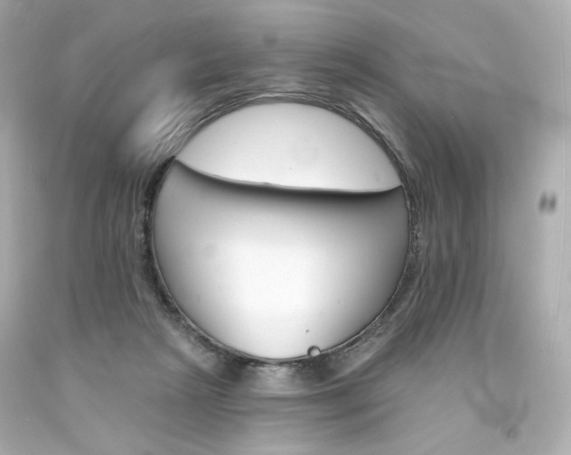 X0000094350265200711021320