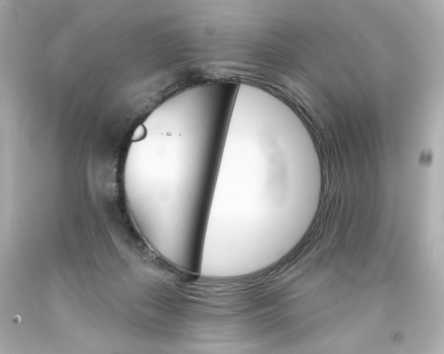 X0000094350267200711021320