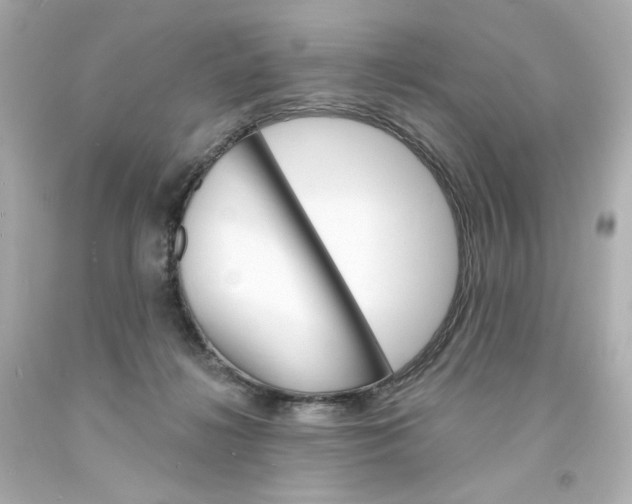 X0000094350268200711021320