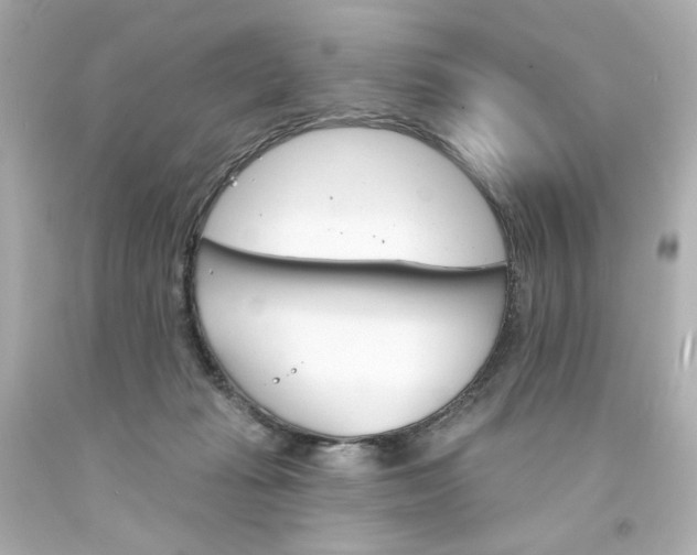 X0000094350269200711021320