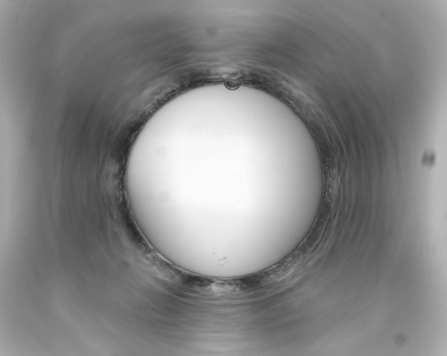 X0000094350270200711021320