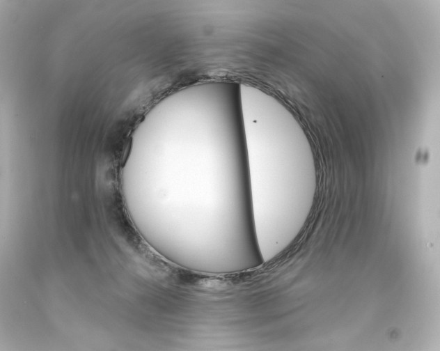 X0000094350272200711021320