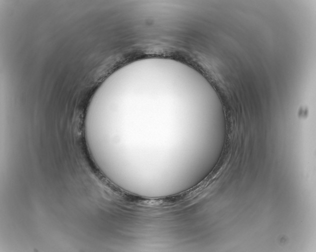 X0000094350273200711021320