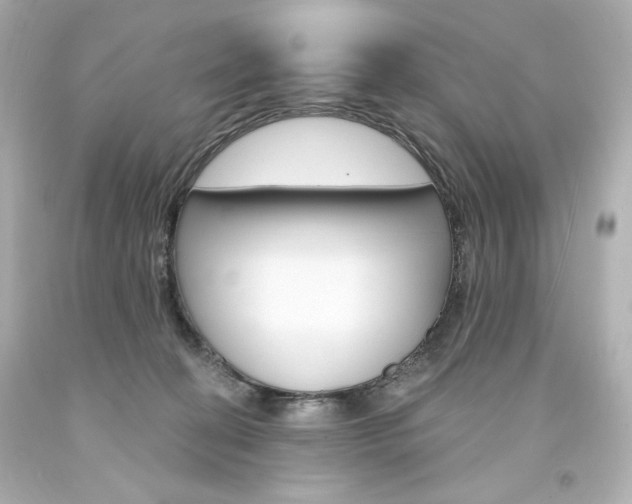 X0000094350274200711021320