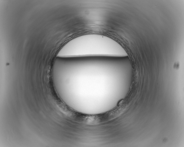 X0000094350275200711021320