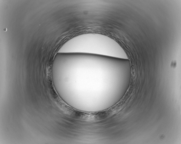 X0000094350276200711021320