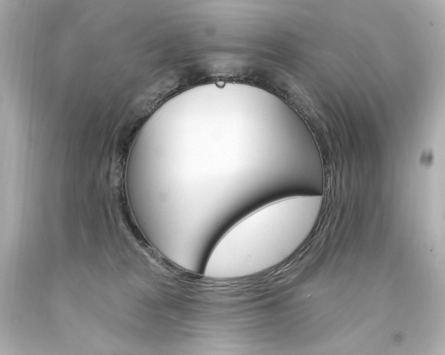X0000094350277200711021320