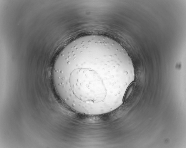 X0000094350278200711021320