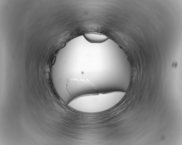 X0000094350279200711021320