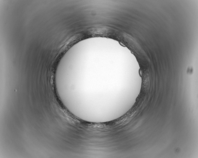 X0000094350282200711021320