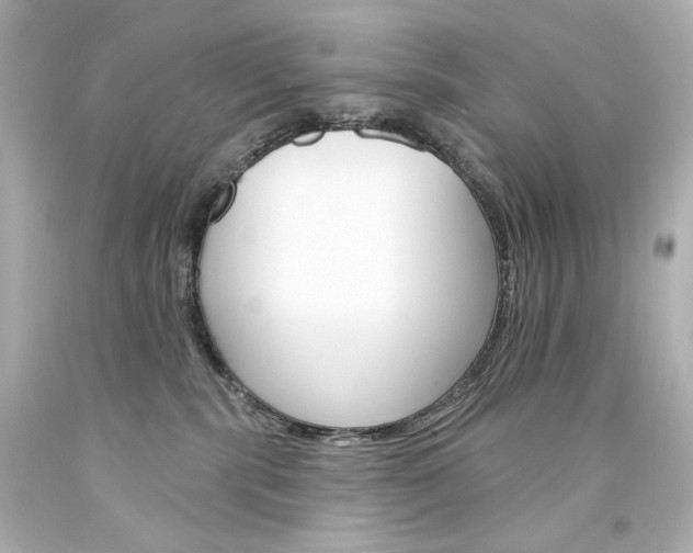 X0000094350283200711021320