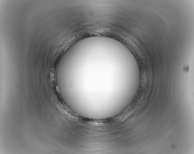 X0000094350284200711021320
