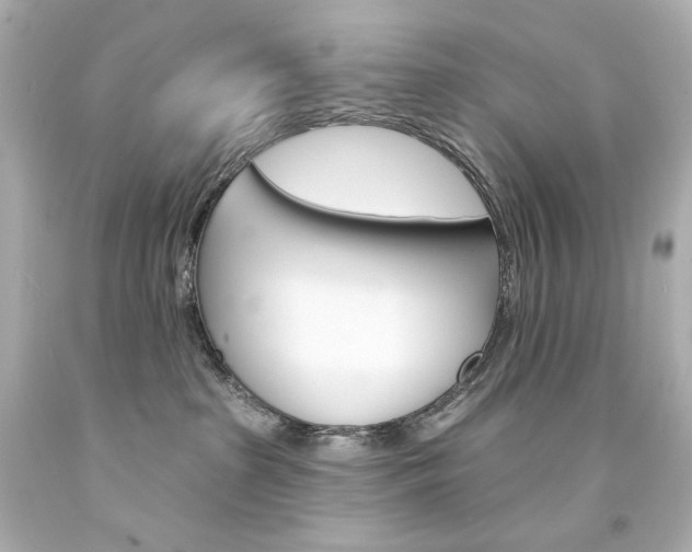 X0000094350285200711021320