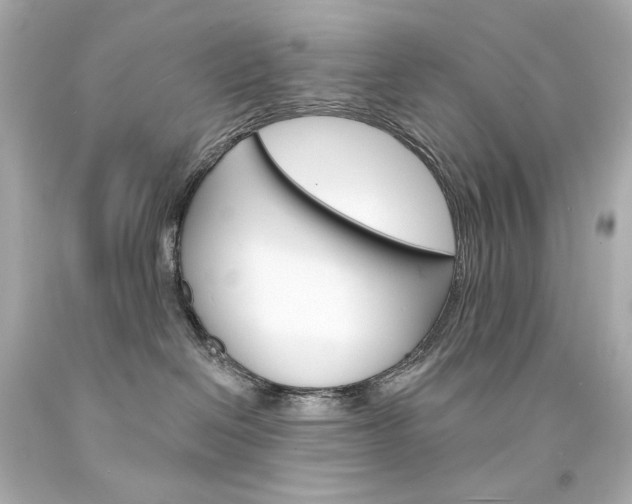 X0000094350286200711021320
