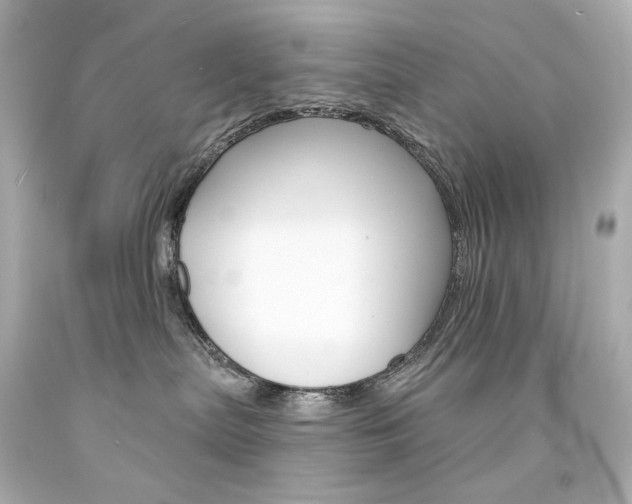 X0000094350287200711021320
