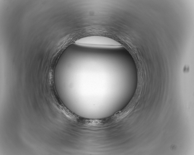 X0000094350288200711021320