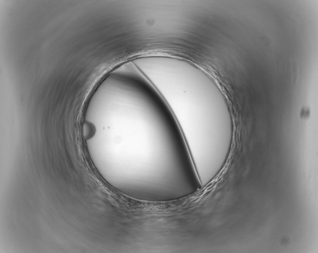X0000094350289200711021319