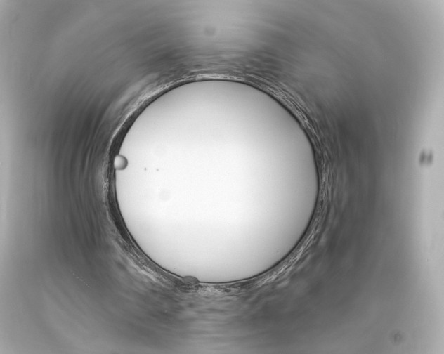 X0000094350290200711021319