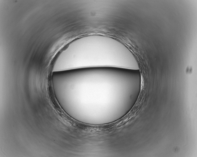 X0000094350291200711021319