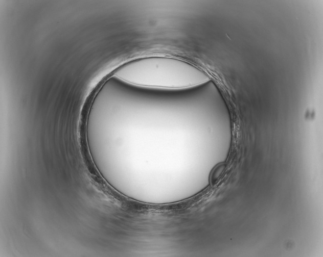 X0000094350292200711021319