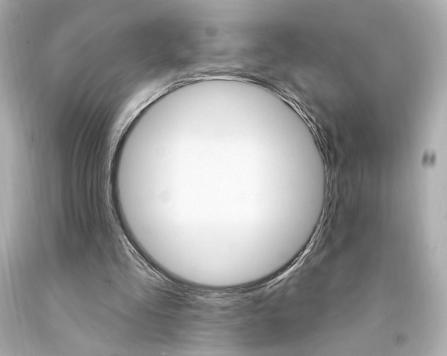 X0000094350293200711021319