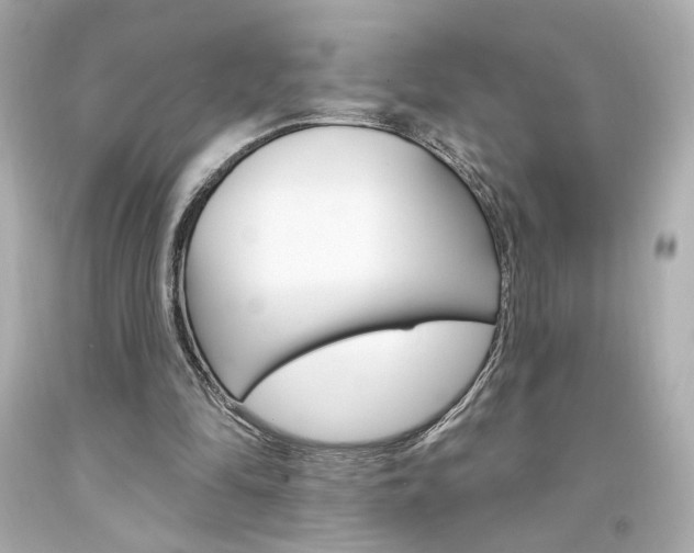 X0000094350294200711021319