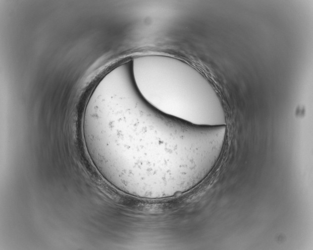X0000094350295200711021319