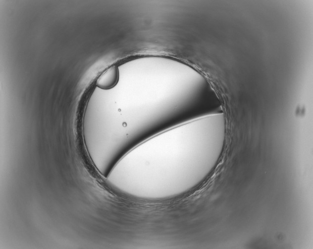 X0000094350296200711021319