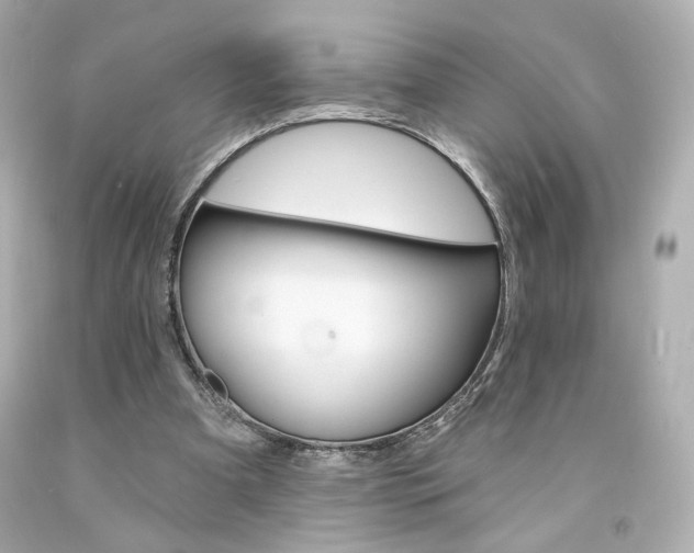 X0000094350297200711021319