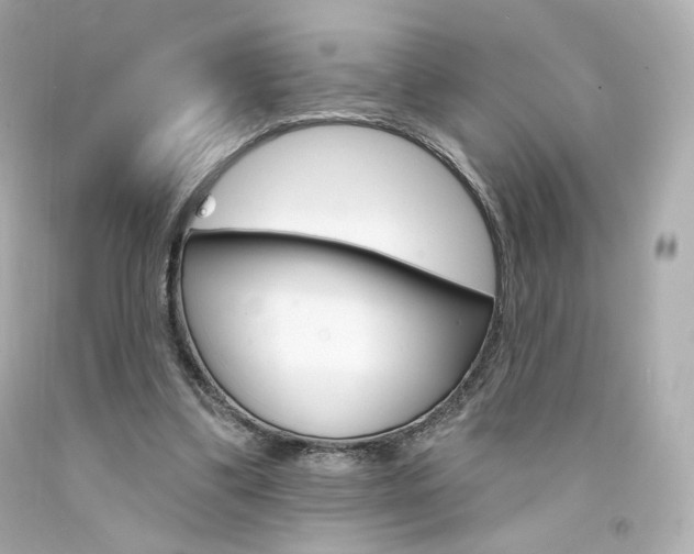 X0000094350299200711021319