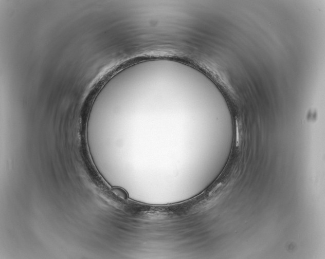 X0000094350300200711021319