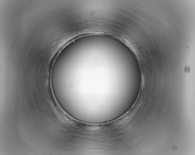 X0000094350301200711021319