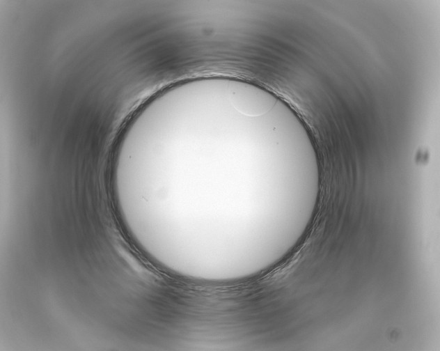 X0000094350302200711021319