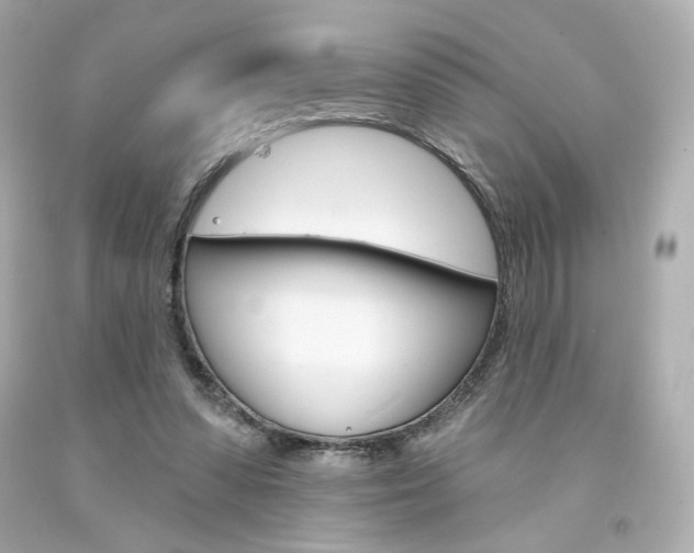 X0000094350303200711021319