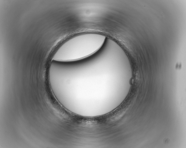 X0000094350304200711021319