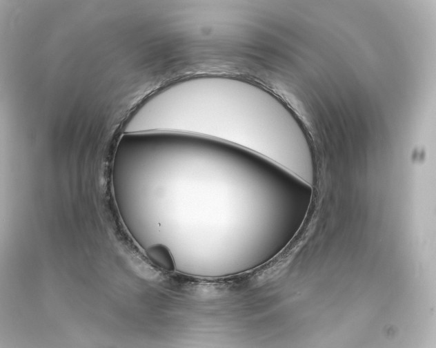 X0000094350305200711021319