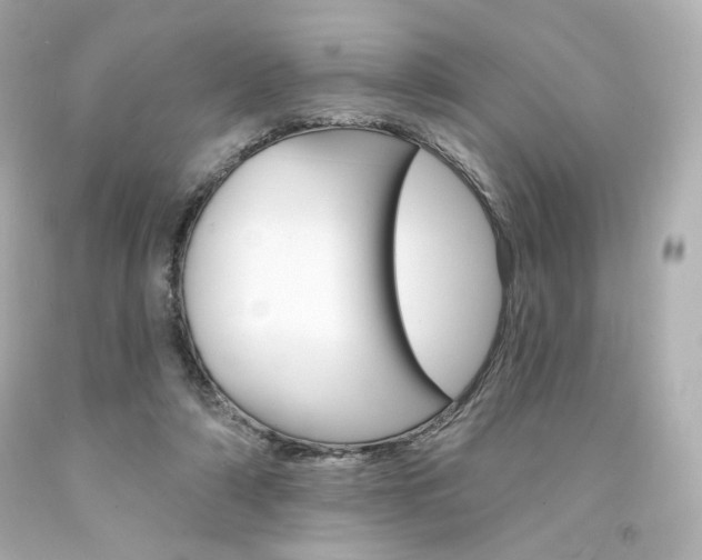 X0000094350306200711021319