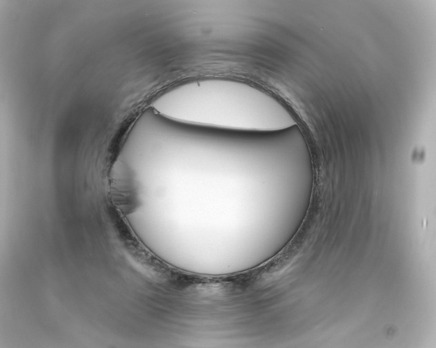 X0000094350307200711021319