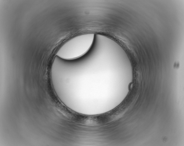 X0000094350308200711021319