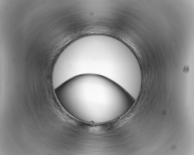 X0000094350309200711021319