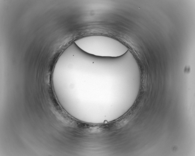 X0000094350310200711021319