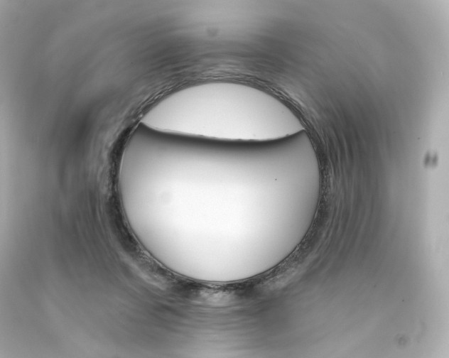 X0000094350311200711021319