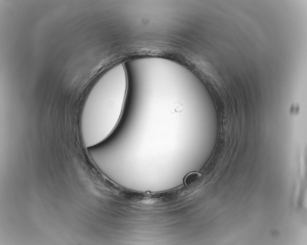 X0000094350312200711021319