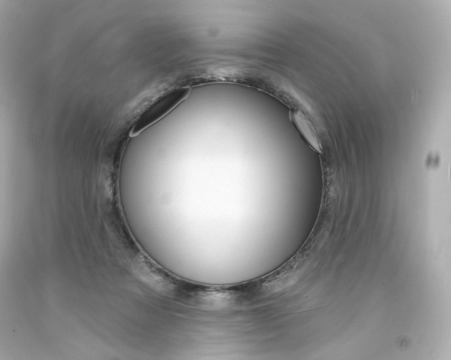 X0000094350313200711021319