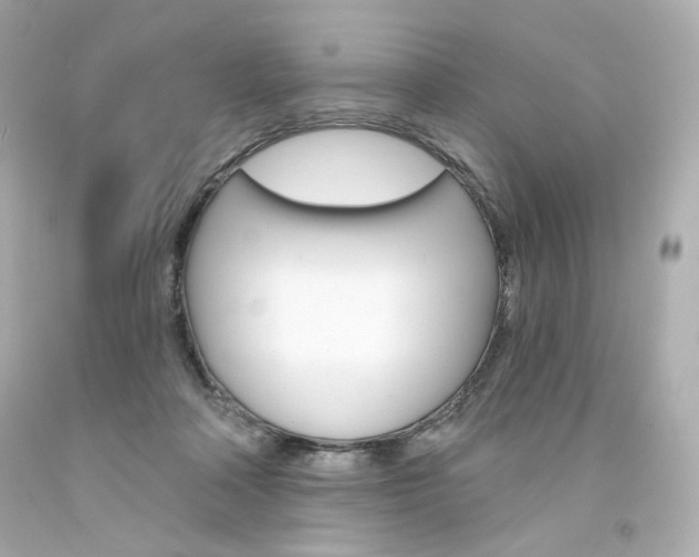 X0000094350314200711021319